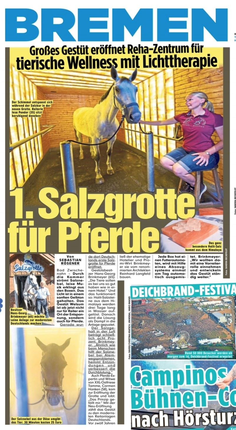 Salzgrotte